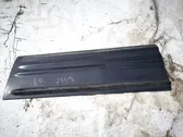 Front door trim (molding)