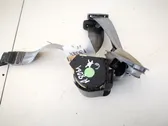 Cinturón trasero