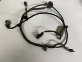 Parking sensor (PDC) wiring loom