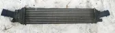 Intercooler radiator