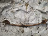 Rear leaf spring