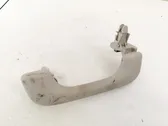 Front interior roof grab handle