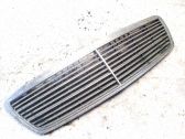 Atrapa chłodnicy / Grill