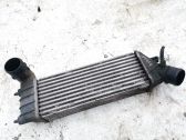 Radiador intercooler