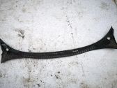 Moldura del limpia