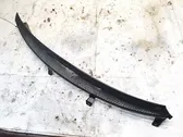 Moldura del limpia