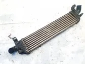 Radiador intercooler