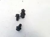 Nuts/bolts