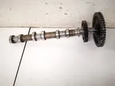 Camshaft