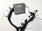 Calculateur moteur ECU