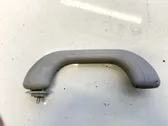 Rear interior roof grab handle