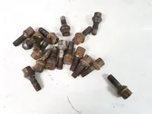 Nuts/bolts