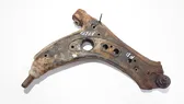 Front lower control arm/wishbone