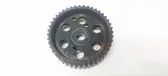 Fuel pump gear (pulley)