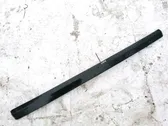 Listón embellecedor de la puerta delantera (moldura)