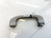 Front interior roof grab handle