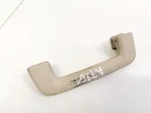 Front interior roof grab handle