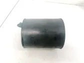 Aktyvios anglies (degalų garų) filtras