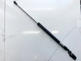 Tailgate/trunk strut/damper