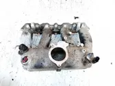 Intake manifold