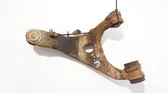 Rear upper control arm/wishbone