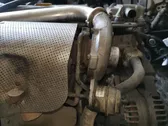 Turbina