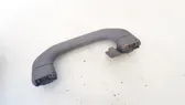 Rear interior roof grab handle