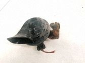 Äänimerkkilaite