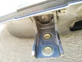 Rear door lower hinge