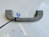 Front interior roof grab handle