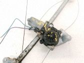 Motor del regulador de la ventanilla de la puerta delantera