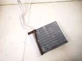 Heater blower radiator