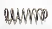 Rear coil spring