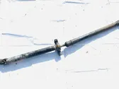 Drive shaft (set)