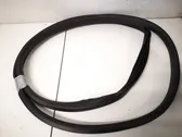 Rubber seal front coupe door