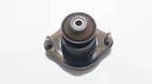 Coil spring mount