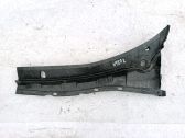 Moldura del limpia
