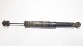 Rear shock absorber/damper