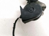 Signal sonore