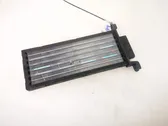 Electric cabin heater radiator