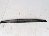 Rear bumper trim bar molding