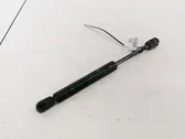 Amortiguador/puntal del capó/tapa delantero