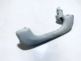 Front interior roof grab handle