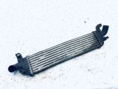 Radiador intercooler