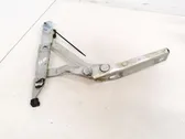 Engine bonnet/hood hinges