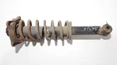 Rear shock absorber/damper