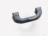 Front interior roof grab handle