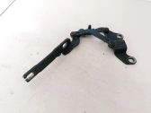 Bisagras del capó/tapa del motor