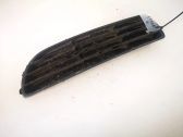 Grille inférieure de pare-chocs avant