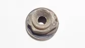 Front coil spring rubber mount